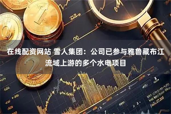 在线配资网站 雪人集团：公司已参与雅鲁藏布江流域上游的多个水电项目