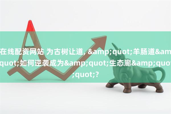 在线配资网站 为古树让道, &quot;羊肠道&quot;如何逆袭成为&quot;生态廊&quot;?